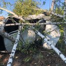 ДТП с двумя погибшими в Кировской области: легковушка вылетела с трассы в деревья